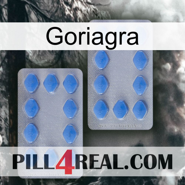 Goriagra 20.jpg